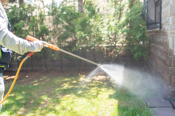 Professional Pest Control in Winsted, MN