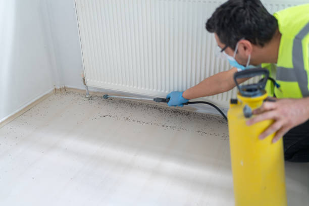 Best Pest Removal Services  in Winsted, MN