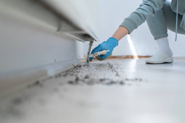 Best Flea Control Services  in Winsted, MN