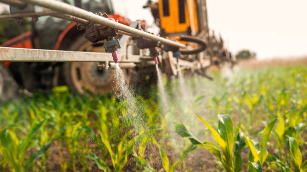 Best Pest Removal Services  in Winsted, MN
