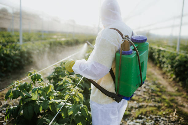 Best Exterminator Services  in Winsted, MN